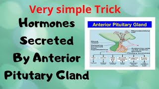 Hormones Secreted From Anterior Pituitary Gland  Short Trick  Mnemonic [upl. by Asusej]