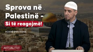 Sprova e Palestinës  Si të reagojmë  Hoxhë Enis Rama [upl. by Atsylac]