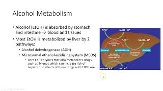 Hepatobiliary System [upl. by Fulmis]