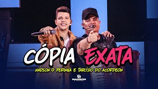 Nadson O Ferinha e Tarcísio do Acordeon  Cópia Exata Clipe Oficial [upl. by Leira792]