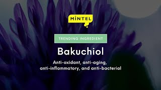 Mintel Trending Ingredient Bakuchiol EN [upl. by Kit472]