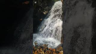 Cascada escondida del rio Moros senderismo hiking rutasdesenderismo cascada waterfall shorts [upl. by Atenik862]