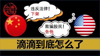 【小岛浪吹】同时被中国和美国暴打的滴滴，到底犯了什么忌讳，欢迎大家一起来吹一吹 [upl. by Anitnas]