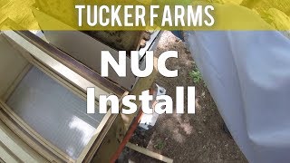 Georgia Honey Beehive NUC Install 2017 [upl. by Aleacin]