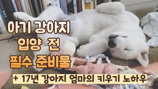 아기 강아지 입양 필수 준비물 ㅣ 키우기 전 알아야 할것 ㅣ 강아지 처음 왔을 때 ㅣ 필수용품 추천 ㅣ 진돗개 [upl. by Elah]