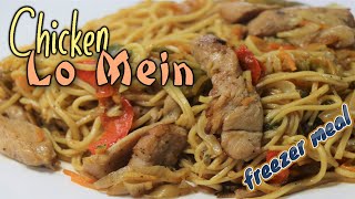 Chicken Lo Mein  Easy Freezer Meals [upl. by Gylys]