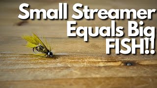 The Smallest Most Effecive Streamer Fly I Have Ever Used [upl. by Nhar]