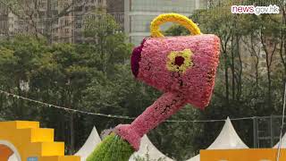 Flower show adds colour to HK 2032019 [upl. by Bearce]