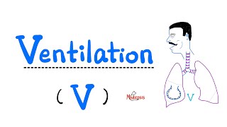 Ventilation V Hypoventilation amp Hyperventilation  Respiratory System  Pulmonary Medicine [upl. by Daune]