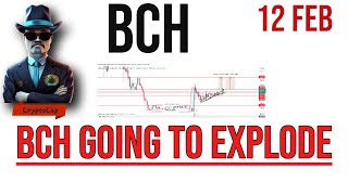 Bitcoin Cash  Bch price prediction amp Analysis  News Update 12 feb 2024 [upl. by Holmann]