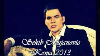 SEKIB MUJANOVIC  KOMA 2013 NOVO [upl. by Mercie]