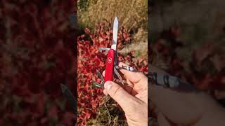 Victorinox Swiis Army 2 alox pruner amp Victorinox sportsman 84 mm 🙂‍↕️🙂‍↔️ [upl. by Stevens426]