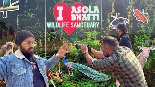 Asola Bhatti Wildlife Sanctuary  Delhi  Wildlife Animal  Prince sambi [upl. by Harras]