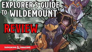 Explorers Guide to Wildemount REVIEW  Critical Role Meets DampD 5E [upl. by Tomasz648]