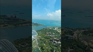 Stunning Over Looking View of Gardens by the Bay Singapore travel explore shorts [upl. by Aihsenak456]