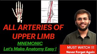 Upper Limb Arterial Supply Anatomy Mnemonic and Course  Revise Subclavian Artery to Palmar Arch [upl. by Tade]