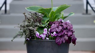 Planting a PartShade Container for Our Front Porch 🌿💚 Garden Answer [upl. by Casandra]