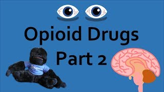 Opioid Drugs Part 2 Addiction and Overdose [upl. by Arad550]