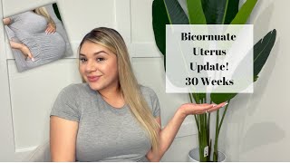 Bicornuate Uterus Update  30 Weeks Pregnant  3rd Trimester [upl. by Benedetta807]