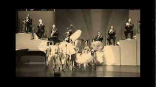 Max Raabe amp Palast Orchester Ich hab´ ne Leidenschaft [upl. by Sancha324]