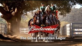 10 Famous Budweiser Super Bowl Commercials [upl. by Waki]