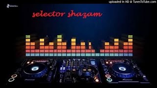 BACCHANAL CHUTNEY MIX BY SELECTOR SHAZAM [upl. by Akitnahs823]