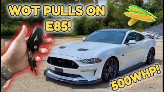 500HP Mustang GT on E85 Insane WOT Pulls [upl. by Ches]