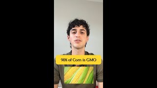 90 of American Corn is GMO [upl. by Sama]