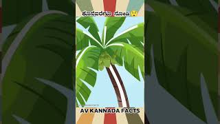 Cocunet Water Facts Video  kannada facts karnataka amezing youtubeshorts trendingshorts [upl. by Nada]