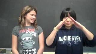 Mathematics Terms in American and Japanese Sign Languages [upl. by Ahsinev]