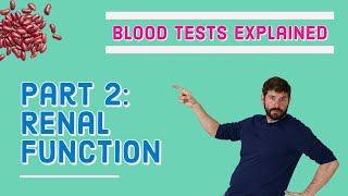 Renal Kidney Function Blood Test  What does it mean UampE biochem [upl. by Meghan]