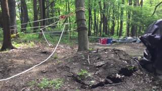 Uprooting a tree using a 45 to 1 pulley system [upl. by Narda326]