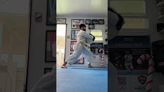 KARATE BASIC TRAINING  HOW TO USE YOUR HIPS [upl. by Terbecki72]