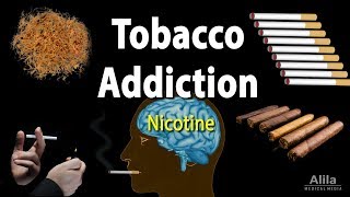 Tobacco Addiction Nicotine and Other Factors Animation [upl. by Oruhtra]