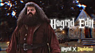 Hagrid Edit  HAGRID X Dandelions  The character whom we cannot lose  REST IN PEACE FAV 💔 [upl. by Retsev]