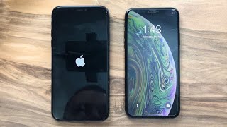 iPhone Xs vs iPhone 11 [upl. by Linkoski]