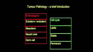 Tumour pathology  a brief introduction part I [upl. by Tomkin911]