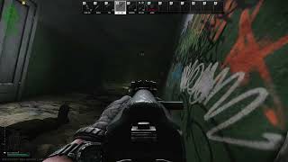 Having a Staredown with Partisan  Tarkov PvE Ep 7 [upl. by Wenoa]