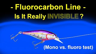 Fluorocarbon vs Monofilament Lines  Visibility Test Underwater [upl. by Nylidam]