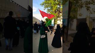 maidan e Karbala se yah kahati thi Fatimashorts short viralvideo youtubeshorts shortsfeed [upl. by Allis]