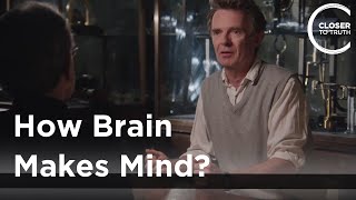 Galen Strawson  How Brain Makes Mind [upl. by Reilamag]