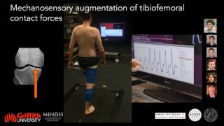 Real time Biofeedback of in vivo knee articular forces [upl. by Pan]