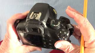 REVIEW  CANON EOS 1000D 2008 Digital Camera [upl. by Sisson]