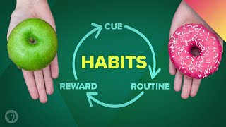 How Habits Can Change Your Life and Your Brain [upl. by Nawd639]