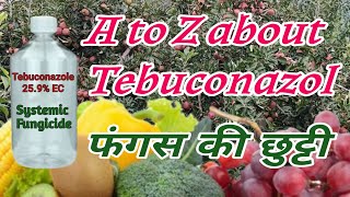 Tebuconazole 259 EC फंगस का सफाया  A to z about Tebuconazol Fungicide  bagwanikibaat [upl. by Teloiv558]