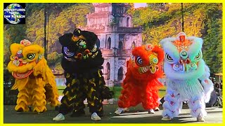 LION DANCE at the Vietnamese Lunar New Year Celebration  Tet Festival [upl. by Ignacio]