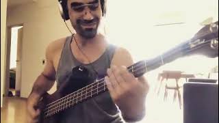 Valeriy Stepanov Federico Malaman  Cute Martlets bass cover [upl. by Eirtemed]