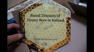 Diseases amp problems found in Irish Bee Colonies during the EDIBEE Project [upl. by Ibbison]