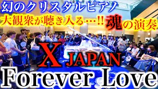 幻のクリスタルピアノを弾いてみたら人がとんでもないことにwww【ストリートピアノX JAPAN『Forever Love』GMOライブクリスタルピアノ】 [upl. by Yrojram]