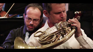 Zvi Avni  Concerto for Horn  Alon Reuven  Israel Camerata Jerusalem [upl. by D'Arcy403]